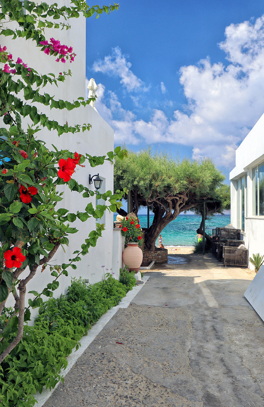 Nilea Agia Anna Naxos